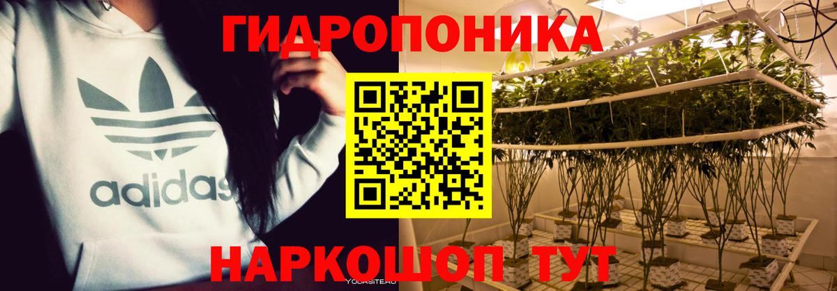 Марихуана Bruce Banner Нижневартовск